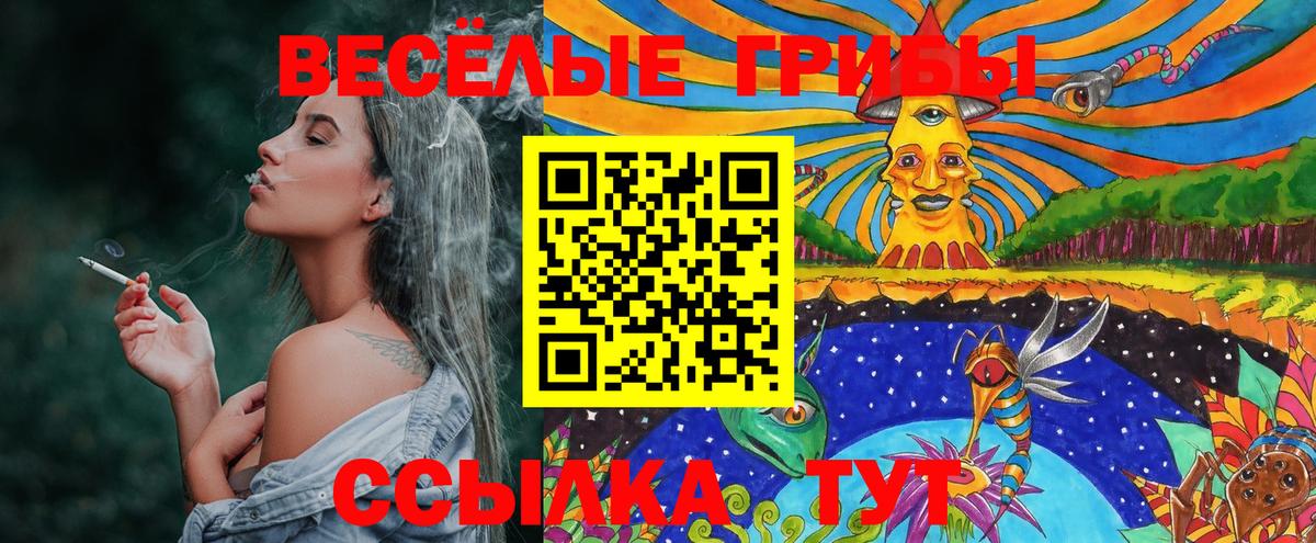 Псилоцибиновые грибы Psilocybine cubensis  Вход с VPN  Назрань 