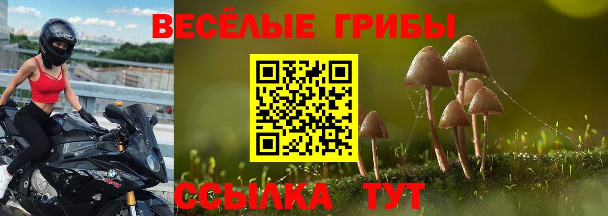 Псилоцибиновые грибы прущие грибы Назрань